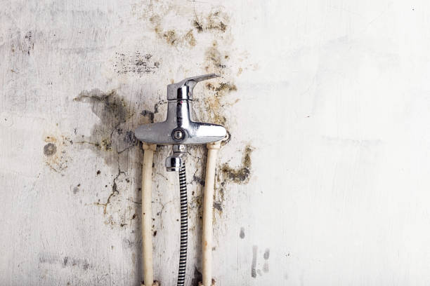 Best Mold Removal Near Me  in Solana Beach, CA