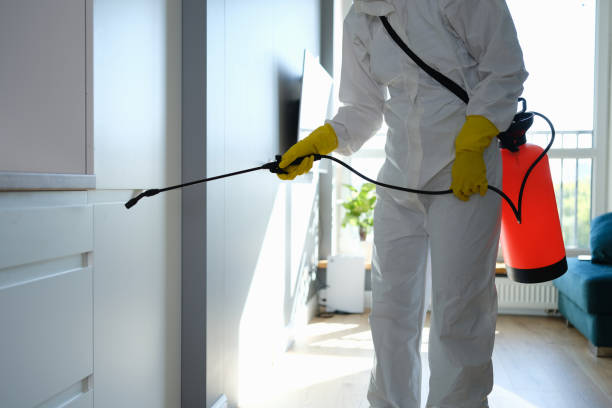 Best Professional Mold Removal  in Solana Beach, CA